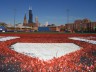 UIC Turf Baseball Field